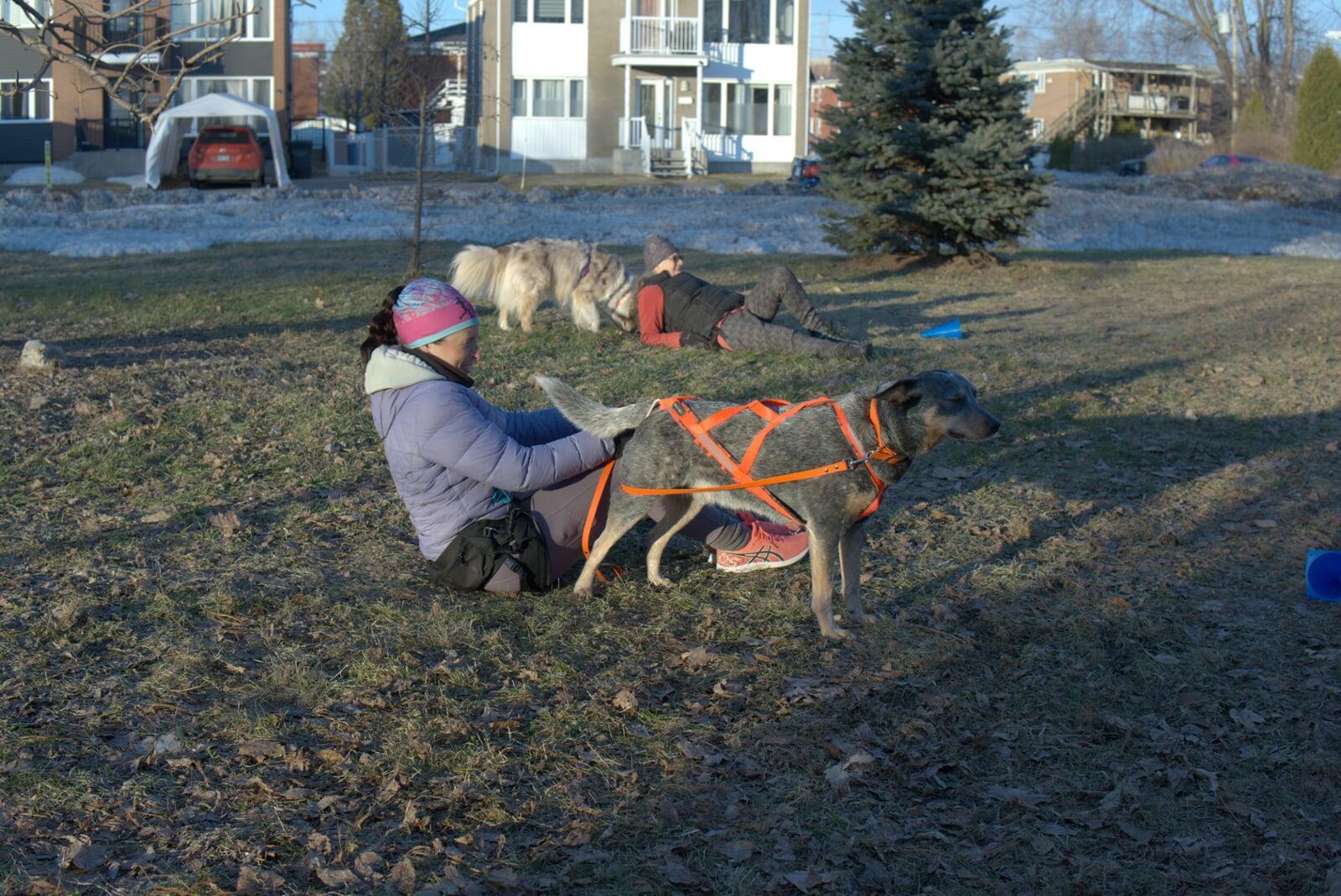 Participante réalisant un exercice de renforcement près de son chien